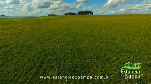 DOS EÓLICOS VIRA P FAZENDA_Moment.00_11_07_08.Quadro295_ff5ea07f29538add2274f3c220607bb804ef8c73.jpg